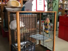 -爱侣宠医·鹦鹉专科·小型哺乳类·异宠专科(灵石路店)