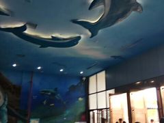 -多彩贵州城极地海洋世界