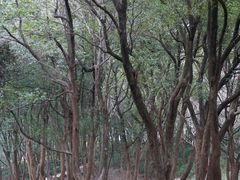 -汤山公园