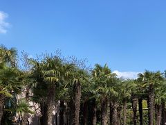 -太阳岛旅游度假区