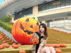 -灵玲国际马戏城