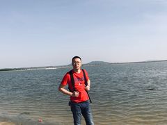 -合肥滨湖国家森林公园