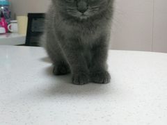 -爱宠有家宠物医院(彩虹桥总店)