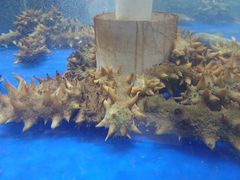 -船家渔(徐州北路店)