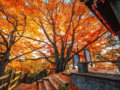 -光雾山旅游景区