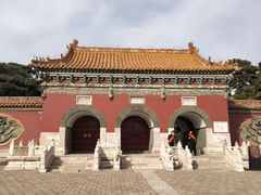 -北陵公园