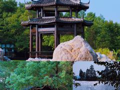 -东湖落雁景区