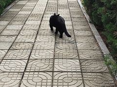 -四门塔风景区