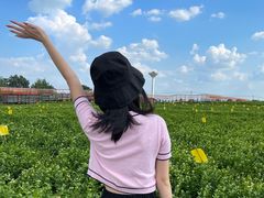 -中华茉莉园