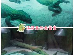 -广州长隆野生动物世界