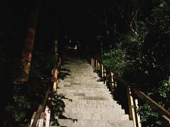 -云碧峰国家森林公园