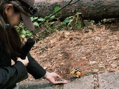 -五营红松林海景区