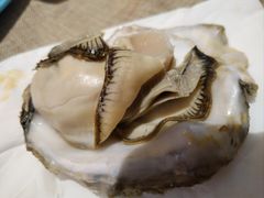 生蚝-帝企鹅自助餐厅•儿童岛•真企鹅(长隆企鹅酒店)