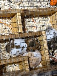 -酷嗒动物文化乐园(cutezoo西溪乐天城店)