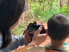 -ZOO COFFEE动物园咖啡(红山森林动物园店)