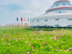 -186彩带河
