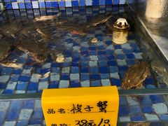 -睿柏云酒店-餐厅