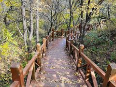 -大岭沟猕猴桃谷风景区