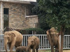 -石家庄市动物园