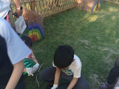 -乌村