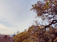 -悉尼海港大桥