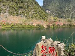 -靖西鹅泉风景区