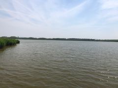 -西青郊野公园