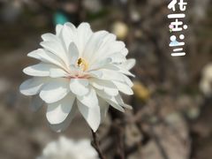 -国家植物园