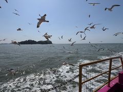 -海驴岛(荣成市)