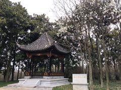 -梅园