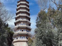 -灵谷景区