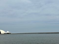 -碧海金沙
