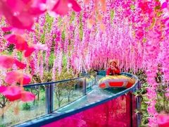 -十渡东湖港风景区