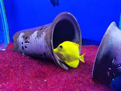-海合安武汉极地海洋公园