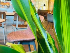 -Wagas沃歌斯(汇智店)