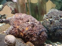 -太平洋海底世界