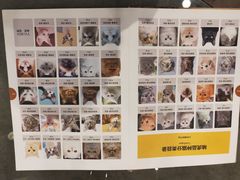 -袖虎·猫馆(体育西路店)