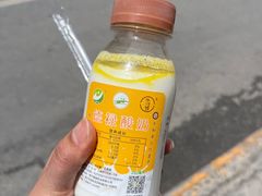 -德禄酸奶(莫家街店)