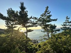 -南紀白浜 浜千鳥の湯 海舟