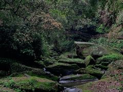 -碧峰峡风景区