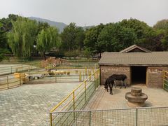 -无锡动物园·太湖欢乐园