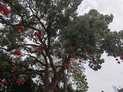 -八卦楼风琴博物馆