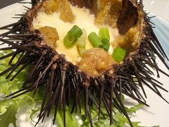 蒸海胆-众想海鲜·烧烤·海肠捞饭·渔家菜(孙家疃店)