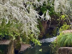 -中国茶叶博物馆(双峰馆区)