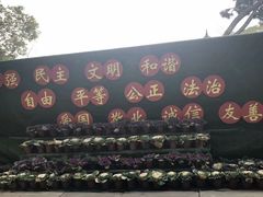 -东湖落雁景区