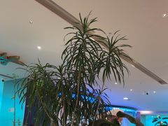 -桂满陇·蟹黄小笼汤包(巴黎春天浦建店)