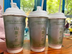 -雾与山茶(大禹城店)