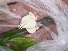 -王菊面馆(凤六店)