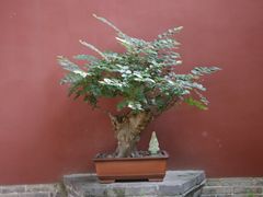 -西安市广仁寺