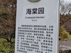 -昆山城市生态森林公园